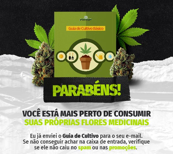 header-obrigado
